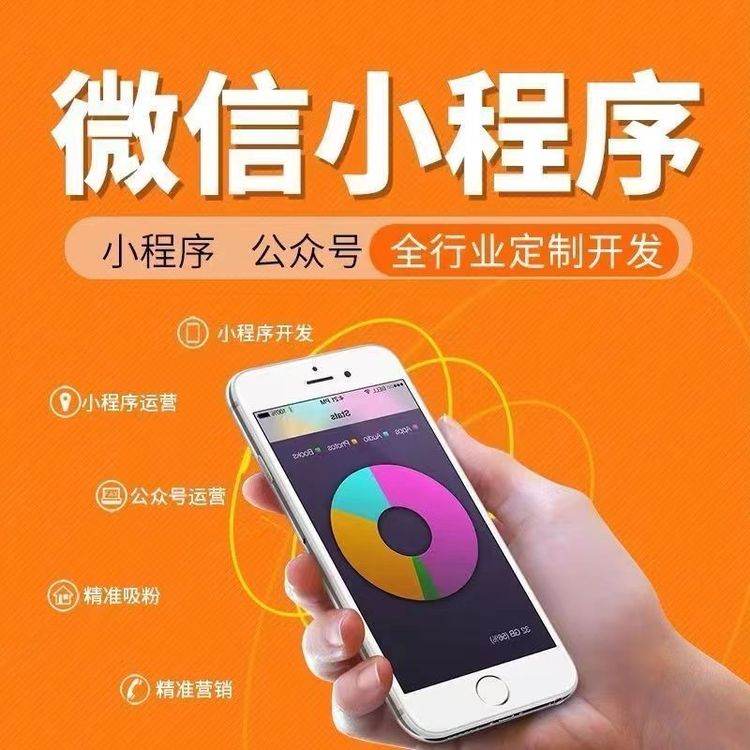 网站搭建 软件开发 小程序制作 壹务科技 网站设计 源码开