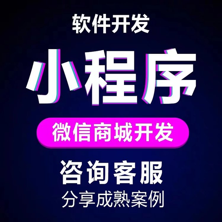 外贸小语种H5网站设计制作 微信商城小程序开发 APP定制