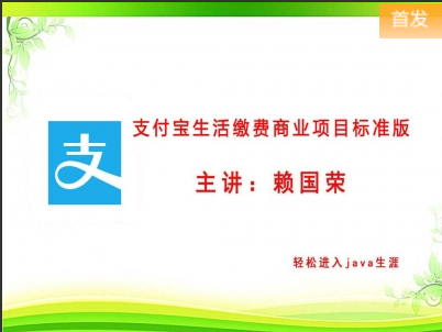 （付费2元查看下详情）支付宝生活缴费商业项目标准版视频教程