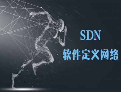 （付费2元查看下详情）前沿技术系列【SDN技术产品与解决方案】视频教程