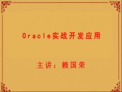 （付费2元查看下详情）企业级Oracle数据库实战开发应用视频课程