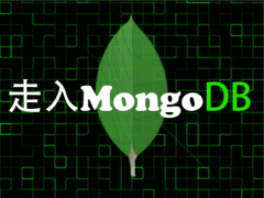 （付费2元查看下详情）走入Mongodb v3.2+视频教程
