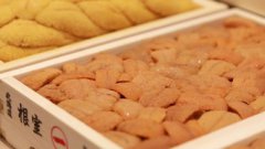 鮨·木々omakase·日本料理