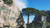 黄山-宏村-屯溪老街3日游