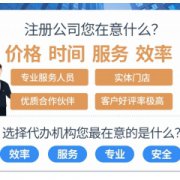 公司注册专业代办营业执照代理记账报税商标注册工商变更注销