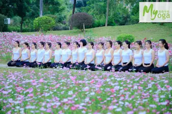 罗曼美瑜美伽·【MY瑜伽】瑜伽教练班学习标准