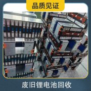 废旧锂电池回收渠道 可提取物质金属 付款方式现金/对公转账