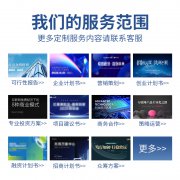 代做商业计划书撰写融资项目企业发展规划代写可行性研究报告ppt