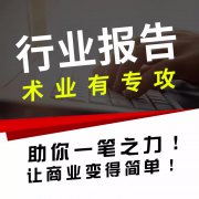 调研报告修改行业研究报告分析数据竞品分析市场调研社会调查报告