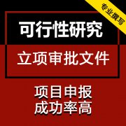 可行性研究报告可研编制立项商业融资计划书编写项目审批备案PPT