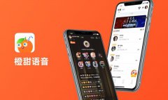 APP开发企业管理软件嵌入式软件工具软件微信成品小程序