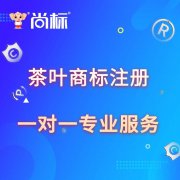 logo设计商标注册 商标字体设计 图文商标原创设计