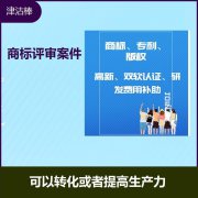 图文设计 表现了企业的技术价值 促进了市场经济的发展