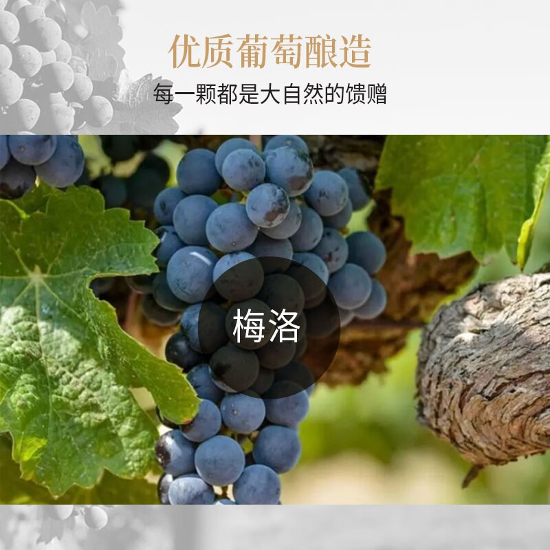 杰卡斯（Jacob's Creek）澳岚多加本纳梅洛干红葡萄酒750ml澳洲红酒