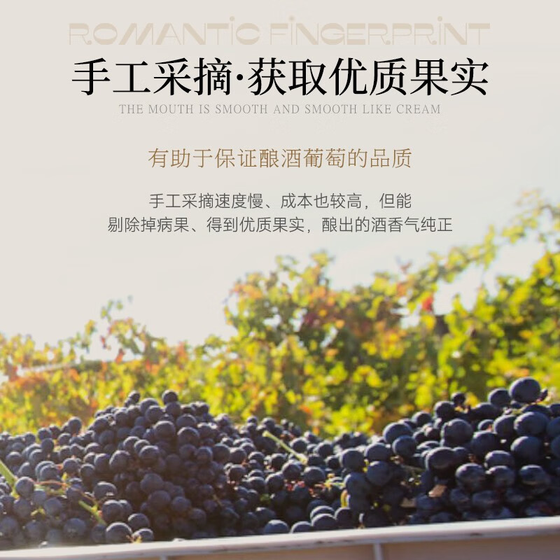 菲特瓦 法国进口红酒半甜红葡萄酒