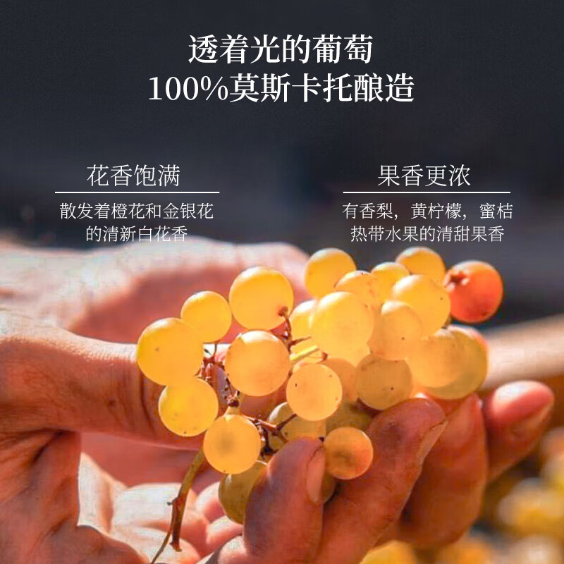 柏拉芝（BLATCH 意大利原瓶进口莫斯卡托0度无醇无酒精气起泡酒葡萄 单支装
