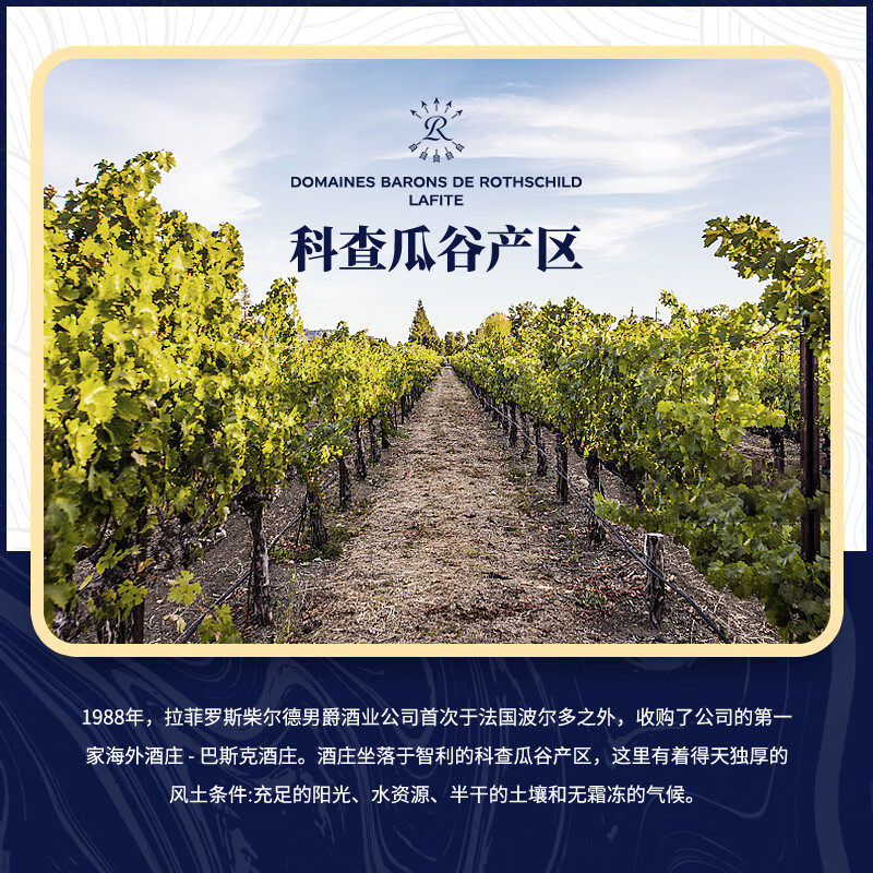 拉菲（LAFITE）巴斯克酒庄 赤霞珠干红葡萄酒 750ml*6瓶 整箱装 进口红酒