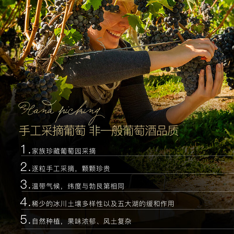 CANA CABIN加拿大原瓶进口冰酒葡萄酒赤霞珠ICEWINE冰红单支礼盒