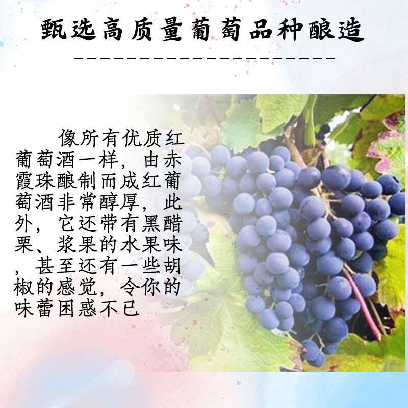 卡地朗甜红葡萄酒 龙船8度微醺聚会宴请送礼甜型红酒 【龙船甜红】750ml*1支装