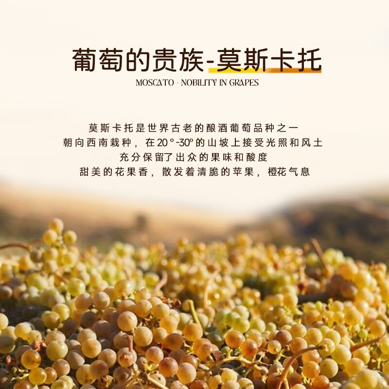 贝丽斯家族 莫斯卡托骑士起泡酒葡萄酒红酒果酒 双支礼袋2*750ml