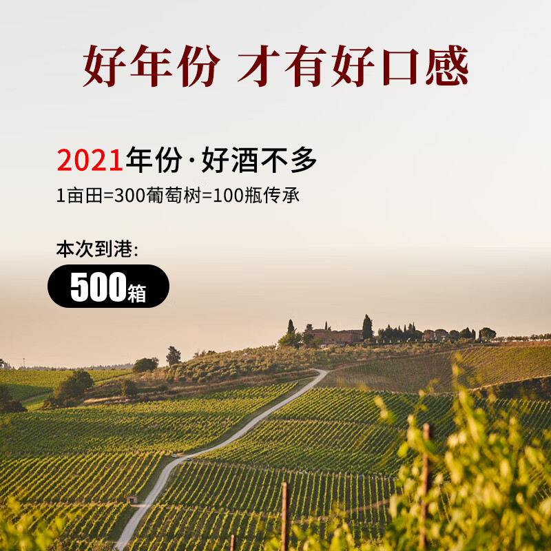 CANIS FAMILIARIS布多格法国原瓶进口红酒整箱 波尔多AOC 传承干红葡萄酒750ml*
