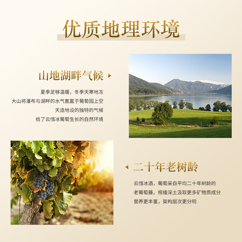 云惜（Yancy Icewine）加拿大冰酒酒庄 晚摘甜红葡萄酒 375ml单瓶礼盒装