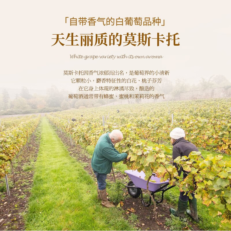 Mulsong【荣获多项大奖】西班牙原瓶进口起泡酒葡萄酒配香槟酒杯 （店铺尝新）双支礼盒2*750
