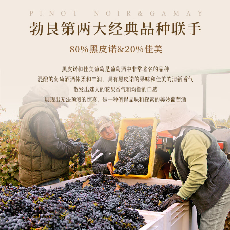 菲特瓦【勃艮第丘AOC】法国原瓶进口红酒干红葡萄酒 750ml双支 礼盒赠礼 伊泊斯AOC干红·双支