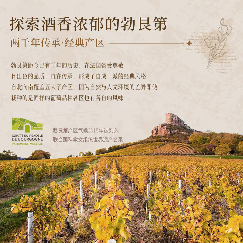 菲特瓦【勃艮第丘AOC】法国原瓶进口红酒干红葡萄酒 750ml双支 礼盒赠礼 伊泊斯AOC干红·双支