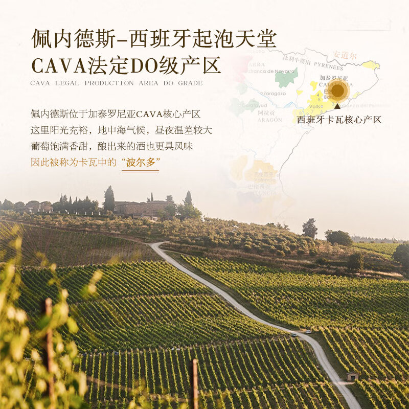 达颜菲斯奈特原瓶进口CAVA起泡酒气泡白葡萄酒含香槟杯单支礼盒750ml