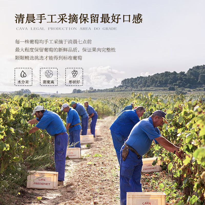 达颜菲斯奈特原瓶进口CAVA起泡酒气泡白葡萄酒含香槟杯单支礼盒750ml