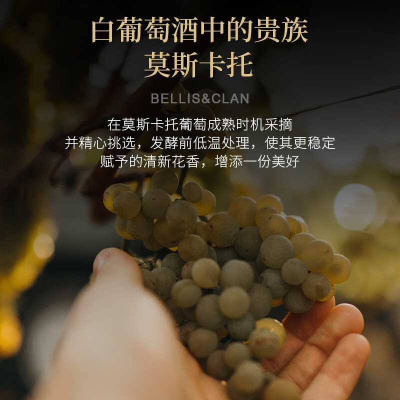 贝丽斯家族莫斯卡托骑士桃红起泡酒葡萄酒红酒配 双支礼袋2*750ml