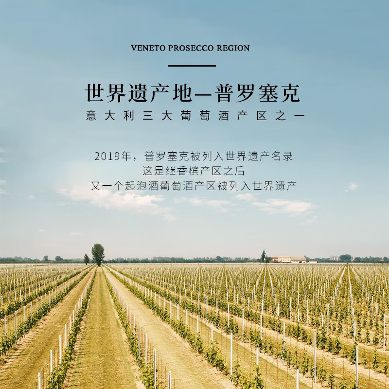 露颂 意大利原瓶进口DOC级起泡白葡萄酒 闪耀普罗塞克白起泡 单支装