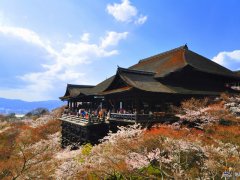 &lt;关西巡游 8人小团丨日本大阪-京都-奈良4晚5日&gt;专车接送丨清水寺+伏见稻荷大社+祇园+奈良公园+