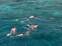 &lt;马尔代夫曼德芙仕岛Medhufushi4晚6日自由行&gt;五星岛屿四星价格，国人少，果冻泻湖，无人沙洲