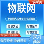 埃斯美科技 多年经验 公司供应 现货充足 物联网应用技术毕业论文