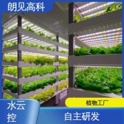 系统开发 智能植物工厂灯光种植 应用农业物联网