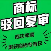 商标线上注册 商标名称注册 知识产权保护 三重复审 快速下证