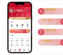 链动2+1系统  品牌传播策略 模式策划 3-7天搭建 源码提供