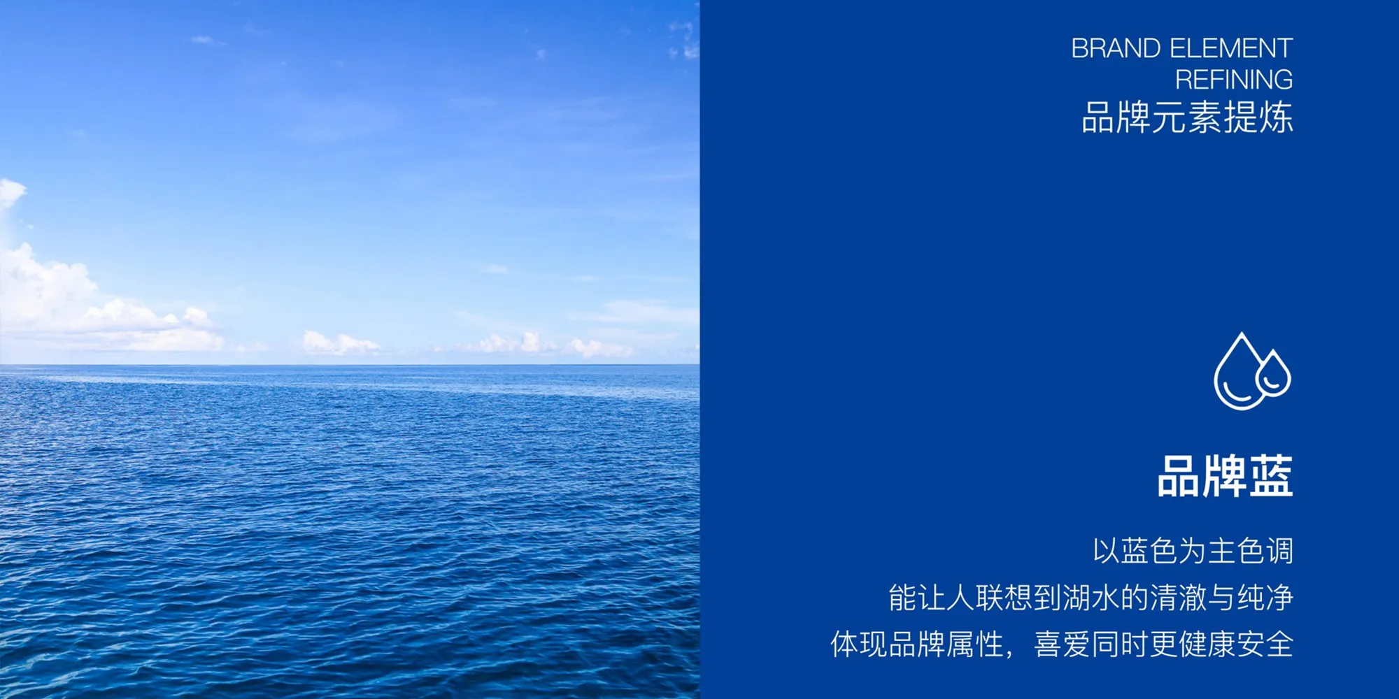 得林清水鱼干 包装设计