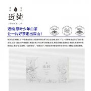 平面设计品牌策划公司 广告策划 企业形象策划 vi广告设计 logo 产品包装包年