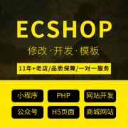 ecshop二次开发 模板修改 插件 建站系统 独立网店 商城模