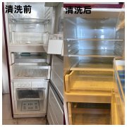 冰箱清洁专家，为您打造无菌存储环境
