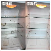 冰箱清洁专家，为您打造无菌存储环境
