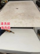 高效家纺清洁服务，轻松解决顽固污渍