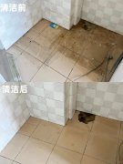 一站式日常保洁服务，轻松享受洁净生活