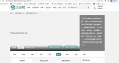 大自驾网站开发
