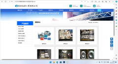 web前端网站小程序开发
