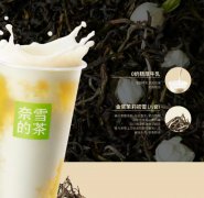 原叶鲜奶茶2选1