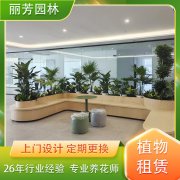 丽芳园林园艺绿植租赁可按需定制 品质优良 货源充足